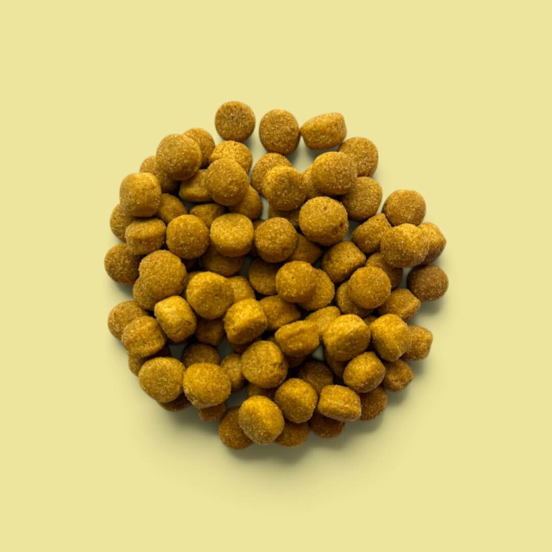 Zijn plantaardige eiwitten goed verteerbaar voor een hond?