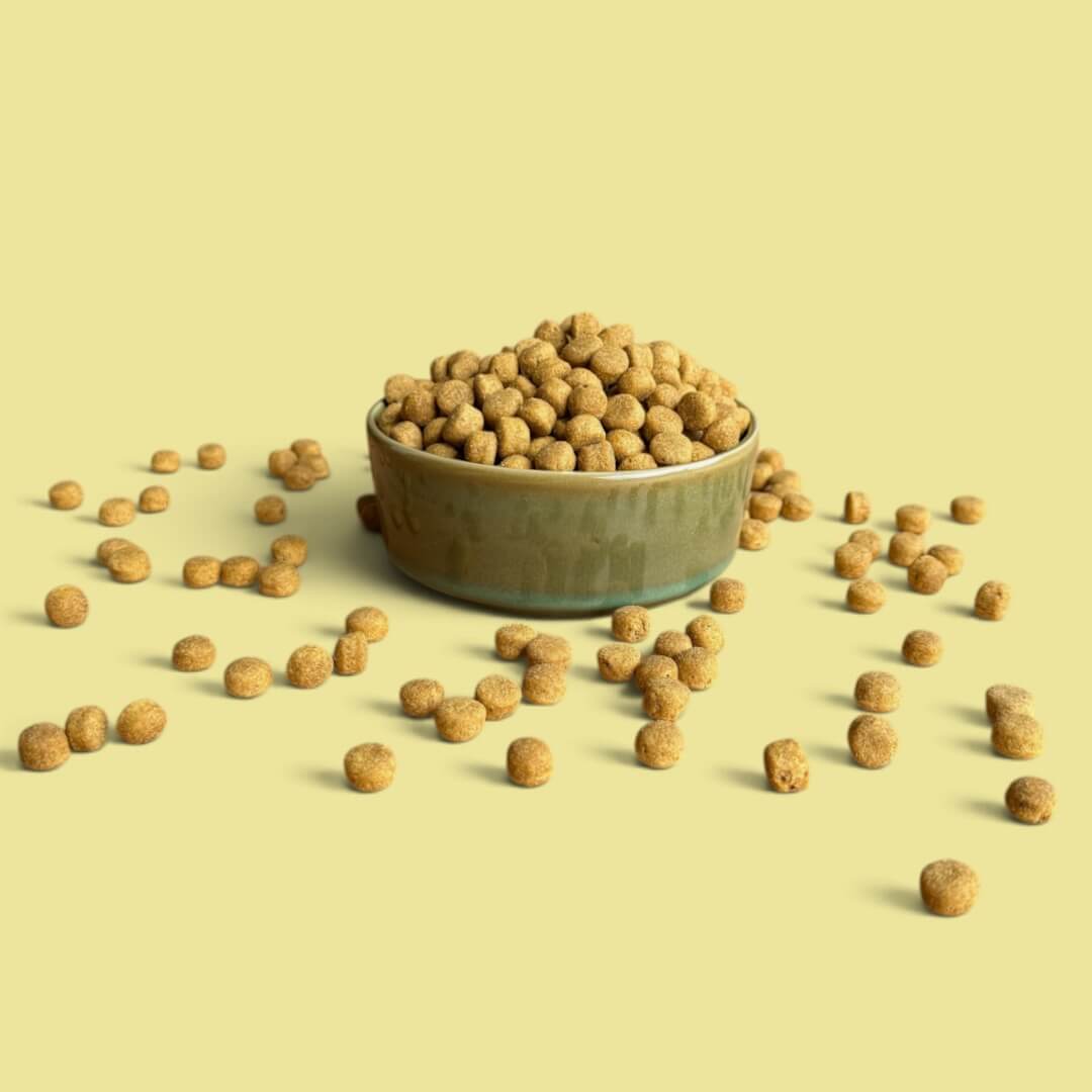 VerdaDog brokken plantaardig droogvoer hypoallergeen schaal verspreid