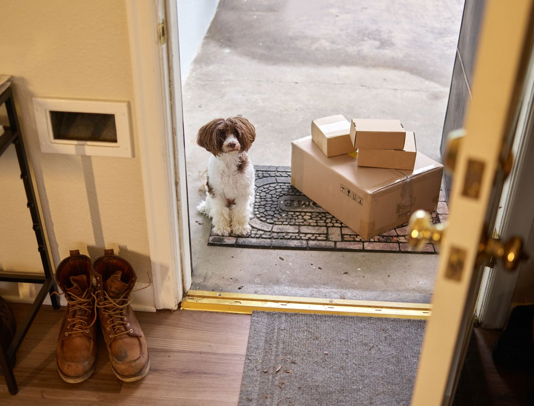 VerdaDog shipping box