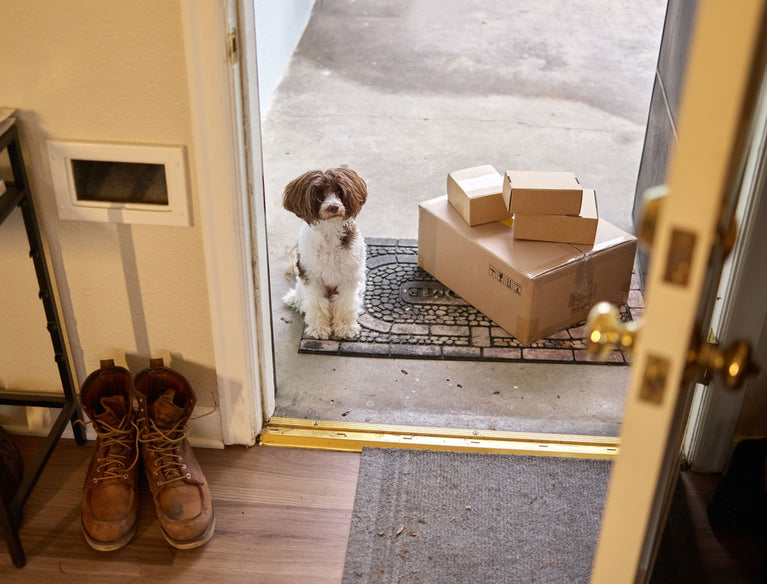 VerdaDog shipping box